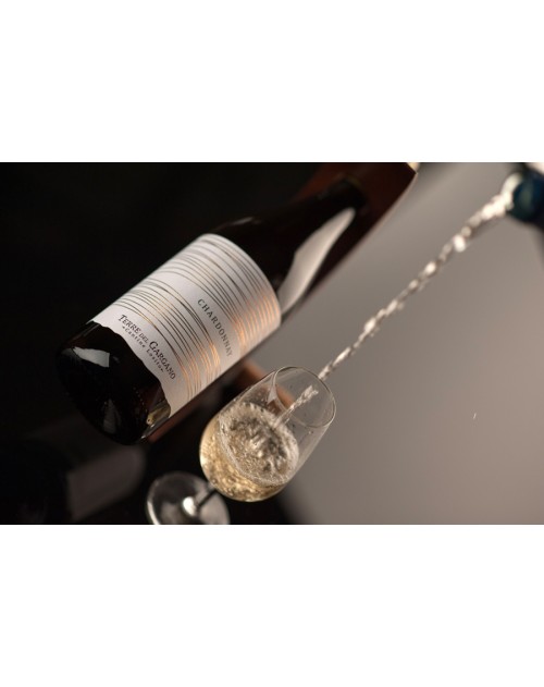 Chardonnay IGP 2015 Puglia